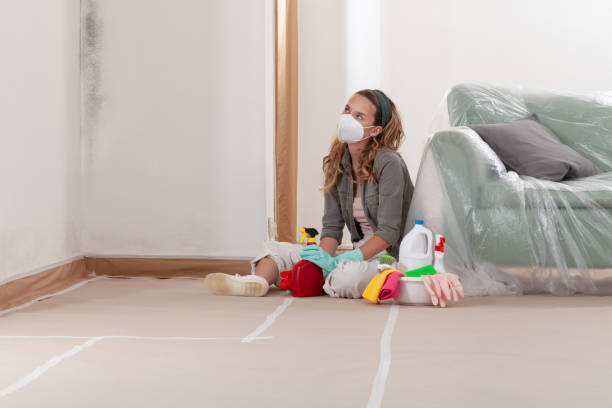 Reliable Mold Testing contractor in Princeton, NC by WQB Mold Removal
